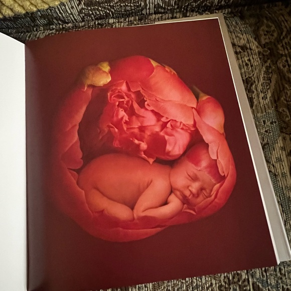 Miracle: A Generation of Life Book Anne Geddes Celine Dion - Picture 5 of 7